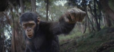 'Kingdom Of The Planet Of The Apes' Dominates Box Office