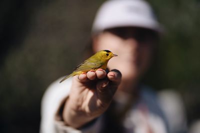 On this unassuming trail near LA, bird watchers see something spectacular