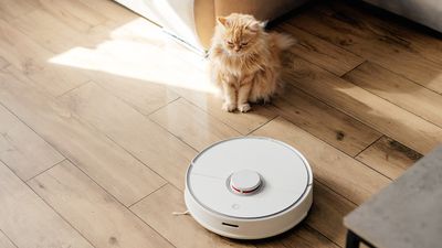 How to clean a robot vacuum cleaner – revive your bot in 5 easy steps
