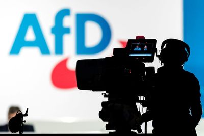 German Court Defeat Deals Fresh Blow To Far-right AfD