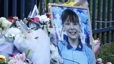 Slain schoolgirl 'really liked' her alleged murderer