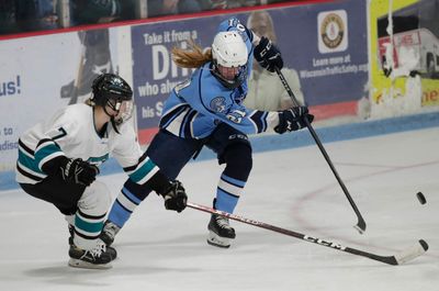 USA TODAY High School Sports Awards unveils Girls Hockey Player of the Year nominees