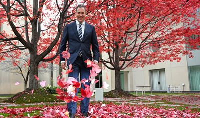 Treasurer frolics under the budget tree, Crikey heads into lock-up, and Seven reprimands itself