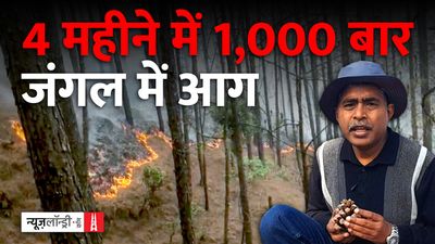 उत्तराखंड: चार महीनों में 1,000 से अधिक जंगलों में आग, खराब तैयारियों के बीच मंडराता संकट