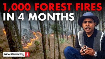 Uttarakhand: Over 1,000 forest fires in 4 months, crisis looms amid poor preparedness