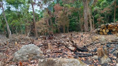 Environment activists alarmed as trees chopped and burnt near Talacauvery Wildlife Sanctuary in Kodagu