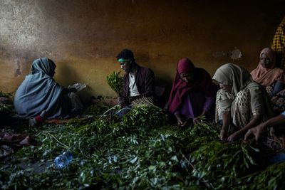 A Gloomy Season For Ethiopia's 'Green Gold' At The Khat Market