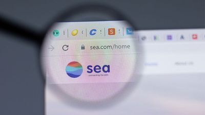 Sea Ltd. Stock Jumps As E-Commerce Growth Fuels Better-Than-Expected Q1 Revenue