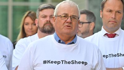 Farmers butt heads over sheep and 'poor' budget