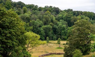 Plantwatch: Britain’s volunteer naturalists provide vital knowledge