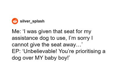 Person Gets A Plane Seat For Their Service Dog, Entitled Parent Sees It As Free Real Estate