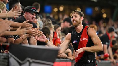 Heppell buoyed as Bombers build solid AFL form