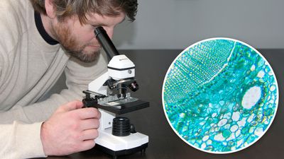 Bresser Biolux NV 20-1280x microscope review