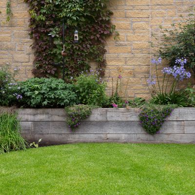 When to fertilise a lawn - Experts reveal the exact months you should give your lawn an extra nutrient boost