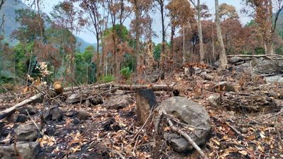The Hindu Impact: Minister orders probe into chopping and burning of trees near Talacauvery Wildlife Sanctuary in Kodagu Karnataka