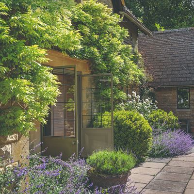 The best wisteria plants for small gardens that will thrive and beautify the smallest of spaces