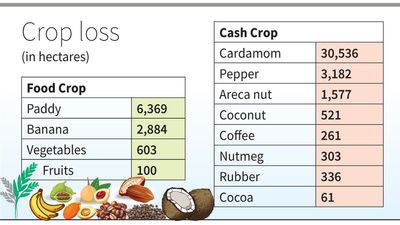 Harsh summer leaves State’s farm sector reeling under heavy losses