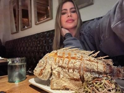 Sofia Vergara Enjoys Glamorous Dining Experience With Delicious Food