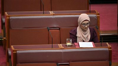 Senator's Palestine remark ignites fiery debate