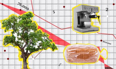 The Crunch: your wealth ranking, cold drip coffee and a trillion trees