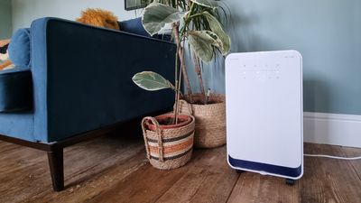 5 reasons to buy a dehumidifier in summer not winter, according to experts