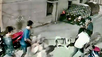 Pet husky and owners attacked in Hyderabad