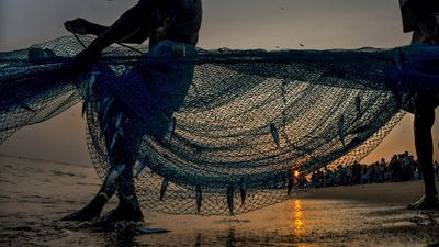 In Andhra-Odisha coast, ghost gear poses a serious threat to marine life