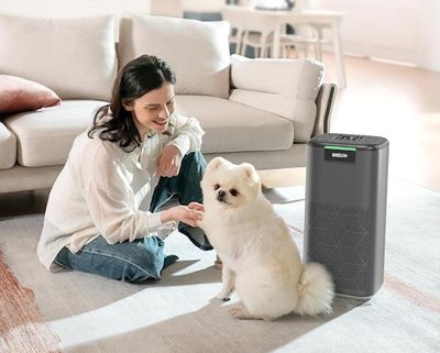 Don't miss the 50% off sale on this smart air purifier that takes air-quality readings, syncs with Apple Health & more
