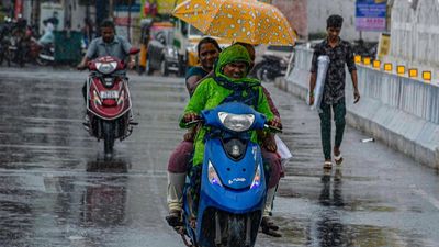 Summer showers fail to bring cheer to farmers in delta districts