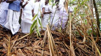 Centre must revise parameters for State to declare Idukki drought-hit, says Prasad