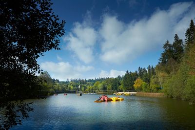 Families can save hundreds of pounds on a Center Parcs holiday – by swapping the UK for Europe