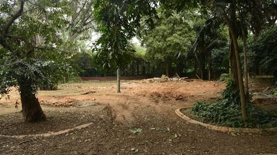 Lalbagh to soon have its own physical and digital herbarium