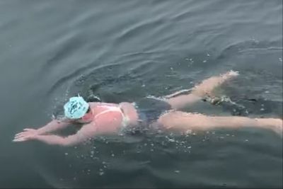 Grandmother makes history as first person to complete 17-hour swim through shark-infested waters