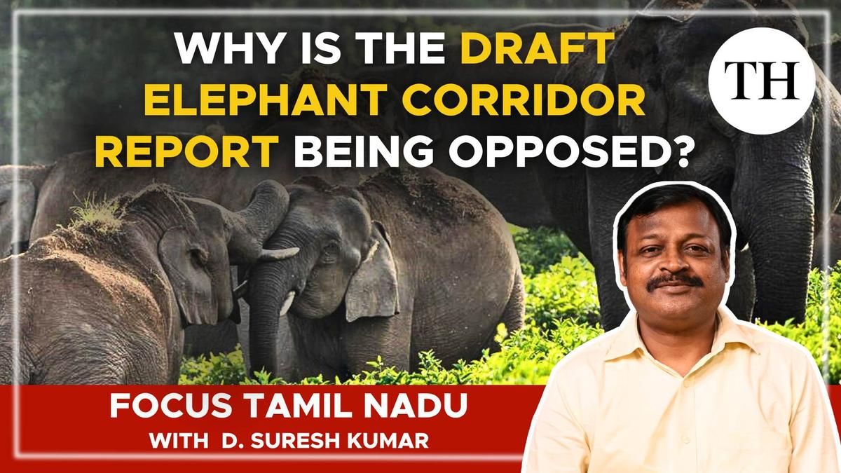 Watch | Why is the Draft Elephant Corridor Report…