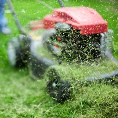 How to clean a lawn mower - A step-by-step guide to keep your lawn mower (and your lawn) in tip-top condition