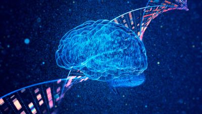 Scanning 1 cubic millimetre of brain tissue resulted in 1,400,000 GB of data, or about the same space as your Dad's holiday photo collection