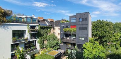 Denser housing can be greener too – here’s how NZ can build better for biodiversity