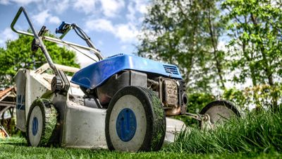 How to fertilize a lawn: 6 expert-steps to a greener, healthier lawn