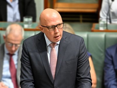 Dutton pledges online crackdown in Budget reply