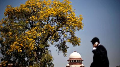 Every day counts in cases dealing with personal liberty, says Supreme Court