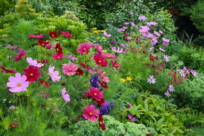 This Baking Ingredient is the Surprising Fertilizer Gardeners Swear by to Boost Their Plants' Growth