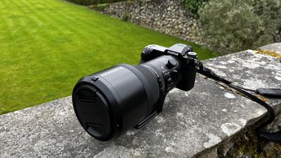 I've used the Fujifilm GFX100S ii – my own cameras can't compare to this resolution