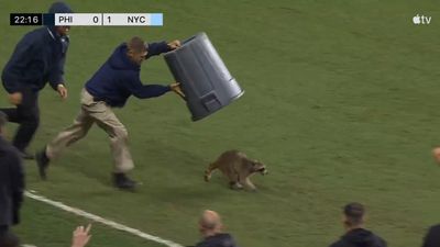 Portland Timbers announcer apologizes over awkward MLS broadcast hot mic blunder — overshadowed by hilarious raccoon incident