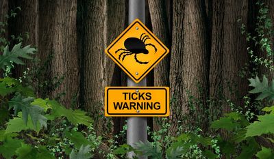 Bloodsucking parasites are spreading. Here’s how to protect yourself from ticks
