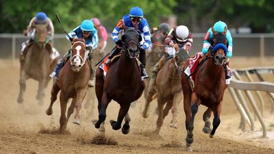 Preakness Stakes; Premier League ‘Championship Sunday’: What’s on This Weekend in TV Sports (May 18-19)