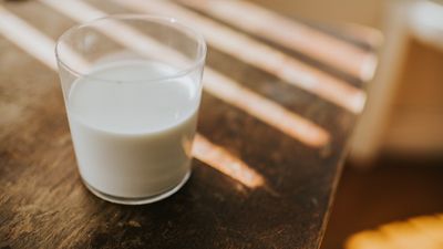 'Playing Russian roulette with your health': Officials warn that social media trend of consuming raw milk will not protect you from bird flu