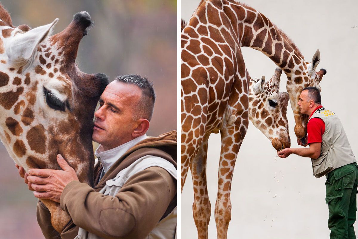 A Heartbreaking Day At The Macedonian Zoo Zookeeper…