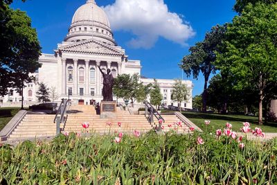 Up in smoke: Workers remove dozens of apparent marijuana plants from Wisconsin Capitol tulip garden