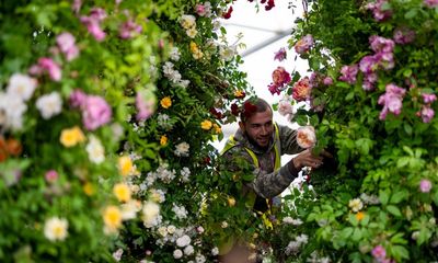 UK’s garden centres hope sunshine and Chelsea flower show will help them rebound from the rain