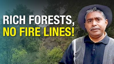 Uttarakhand: Forests across 1,500 hectares burned in a year. Were fire lines drawn to prevent it?